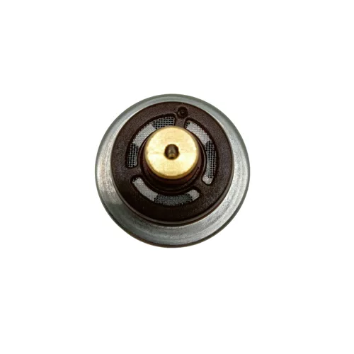 Fuel Pump Fuel Pressure Regulator for Chevrolet 93298257 F000DR0208 F000DR0214 93305850 - image 5
